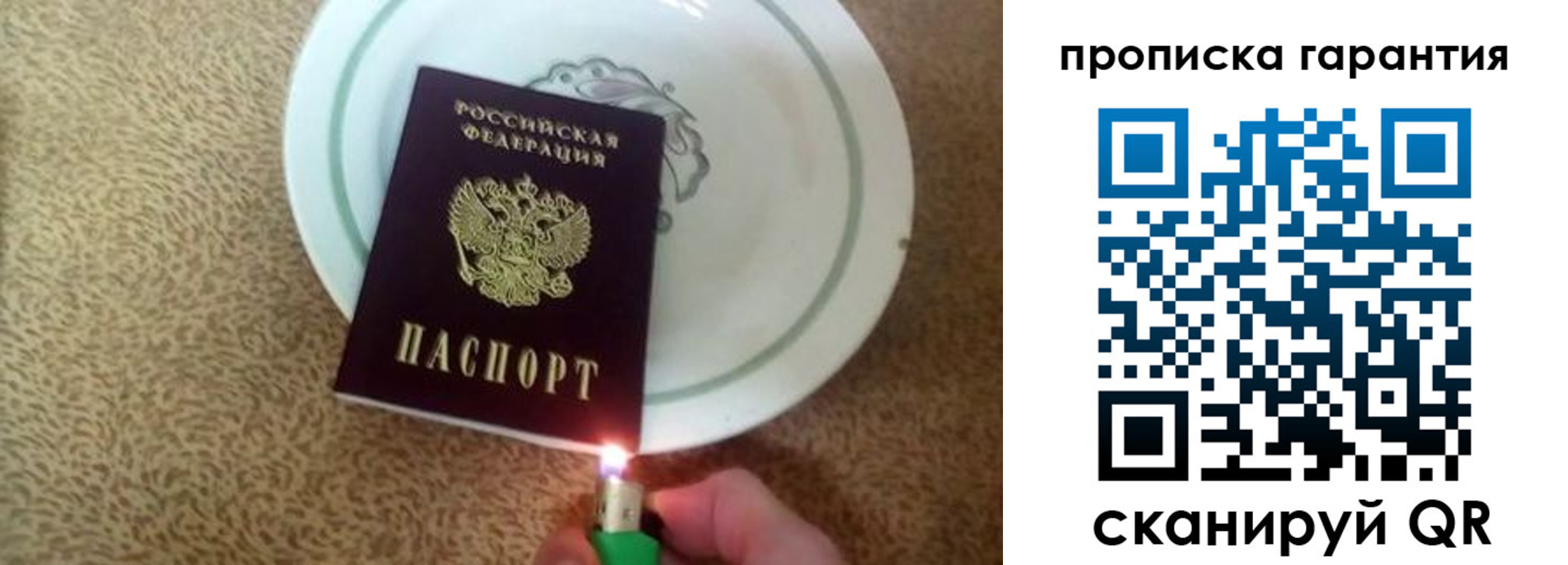 прописка гарантия в Сасово